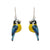 Tiny Blue Tit Hook Earrings