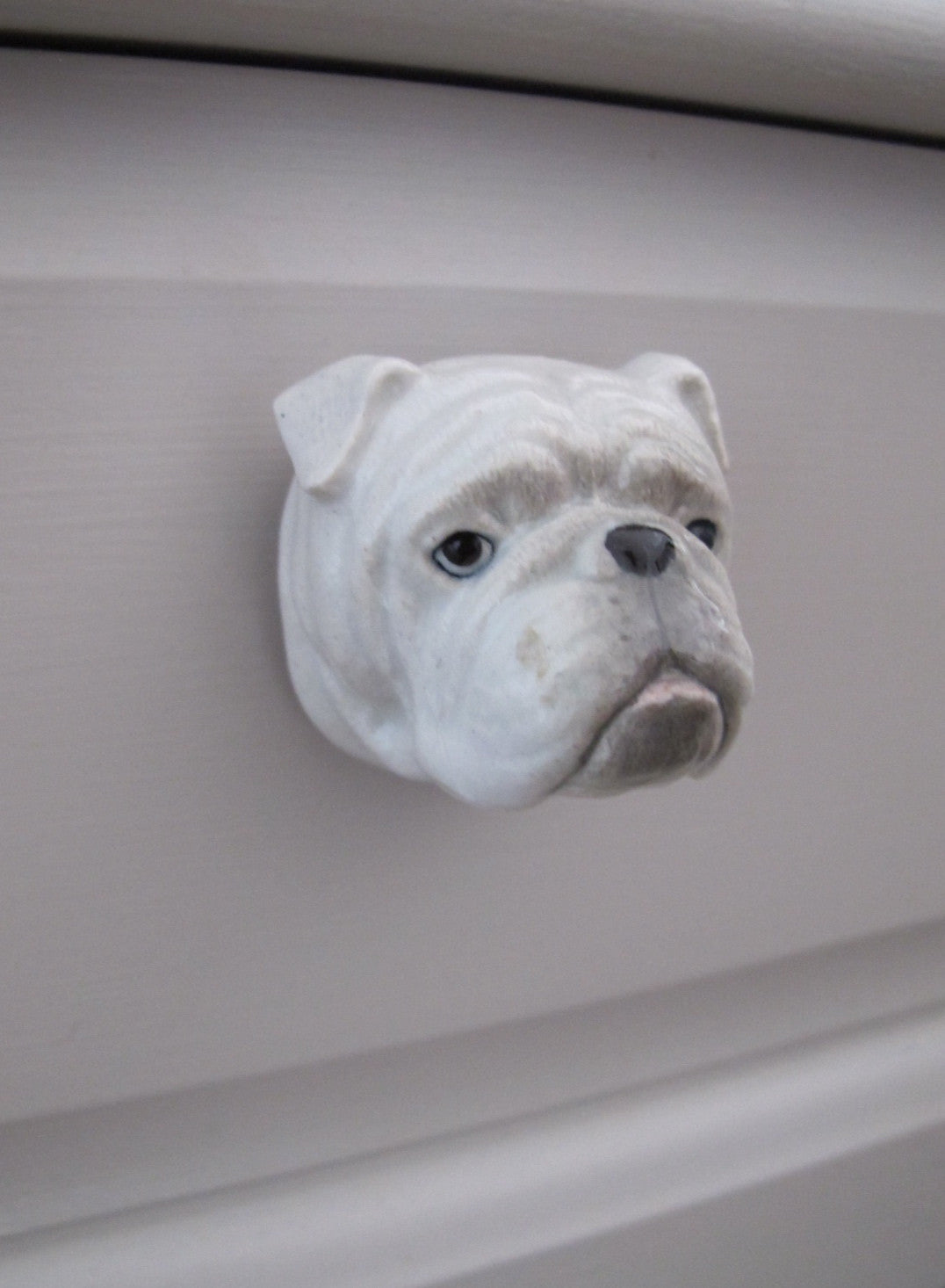 Bulldog Head Doorknob